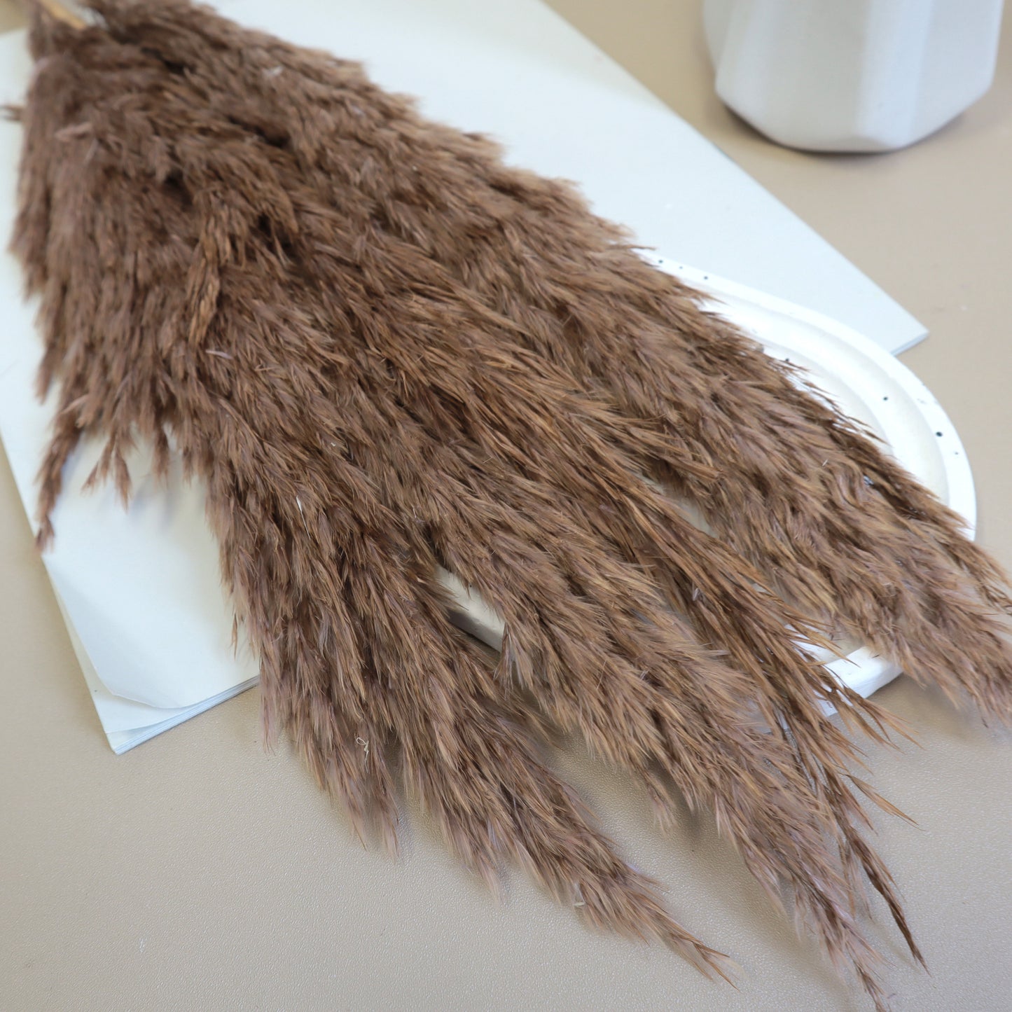 Giant Reeds Grass Brown