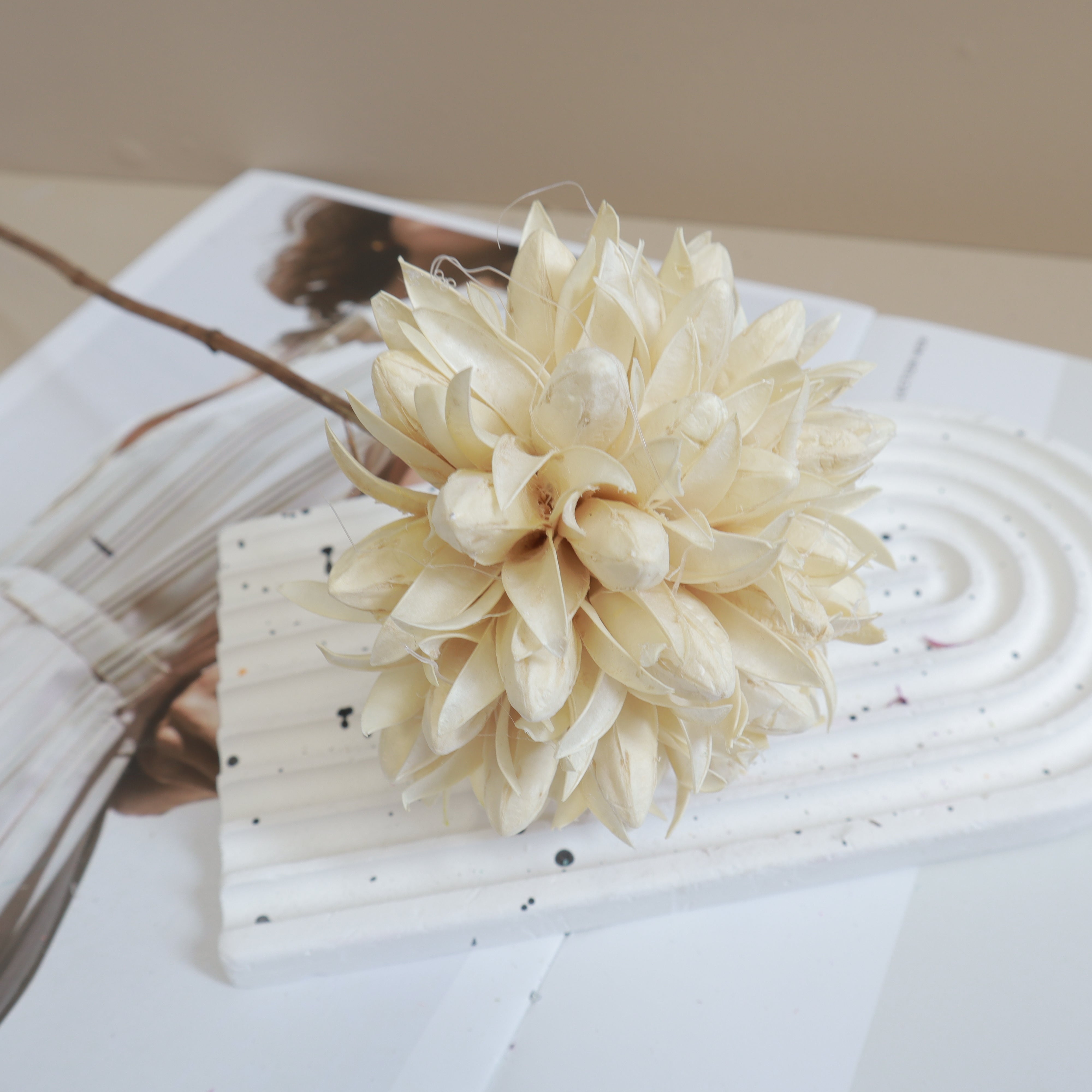 Magnolia Cream