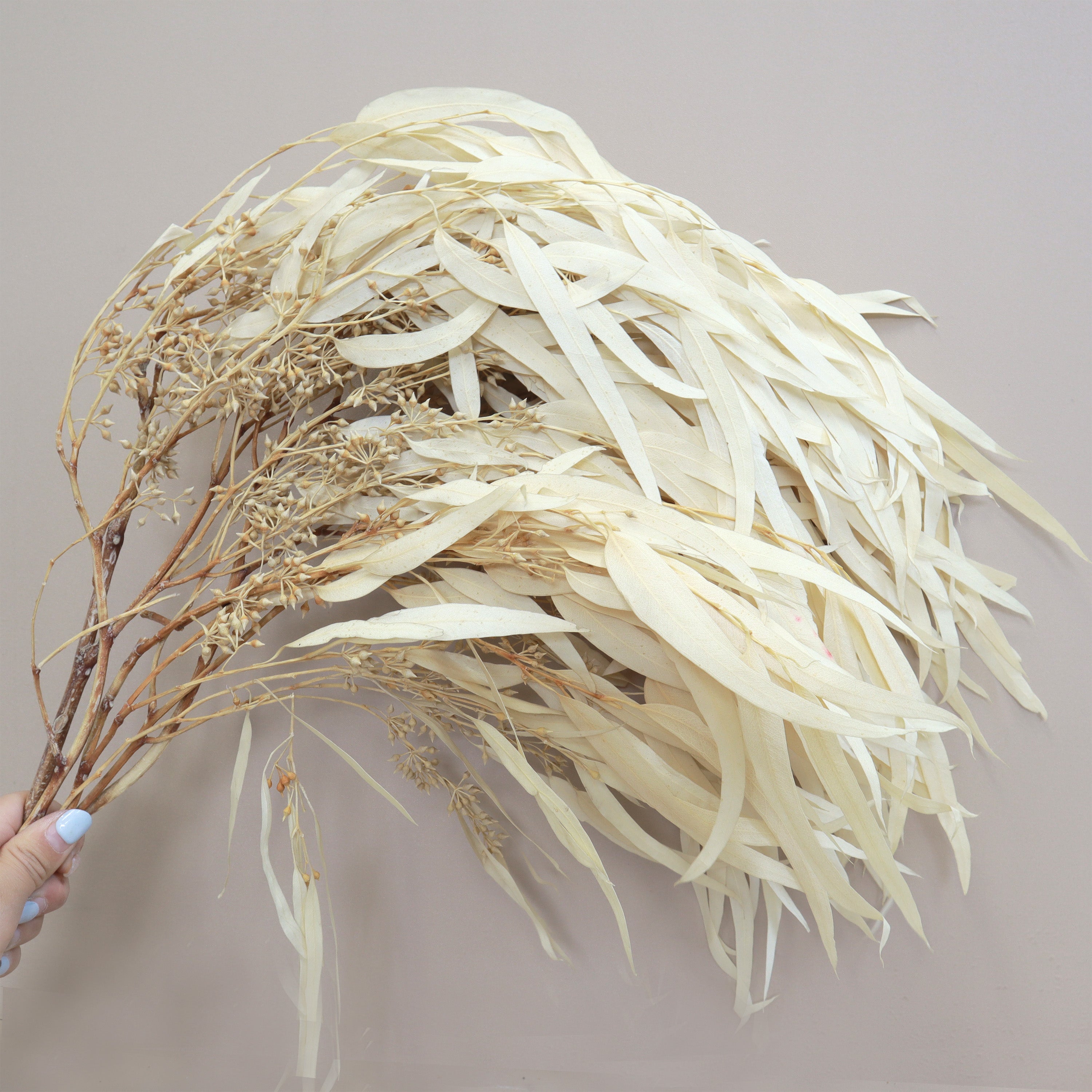 Seeded Gum Creamy White