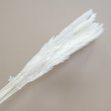 Fluffy Stick White