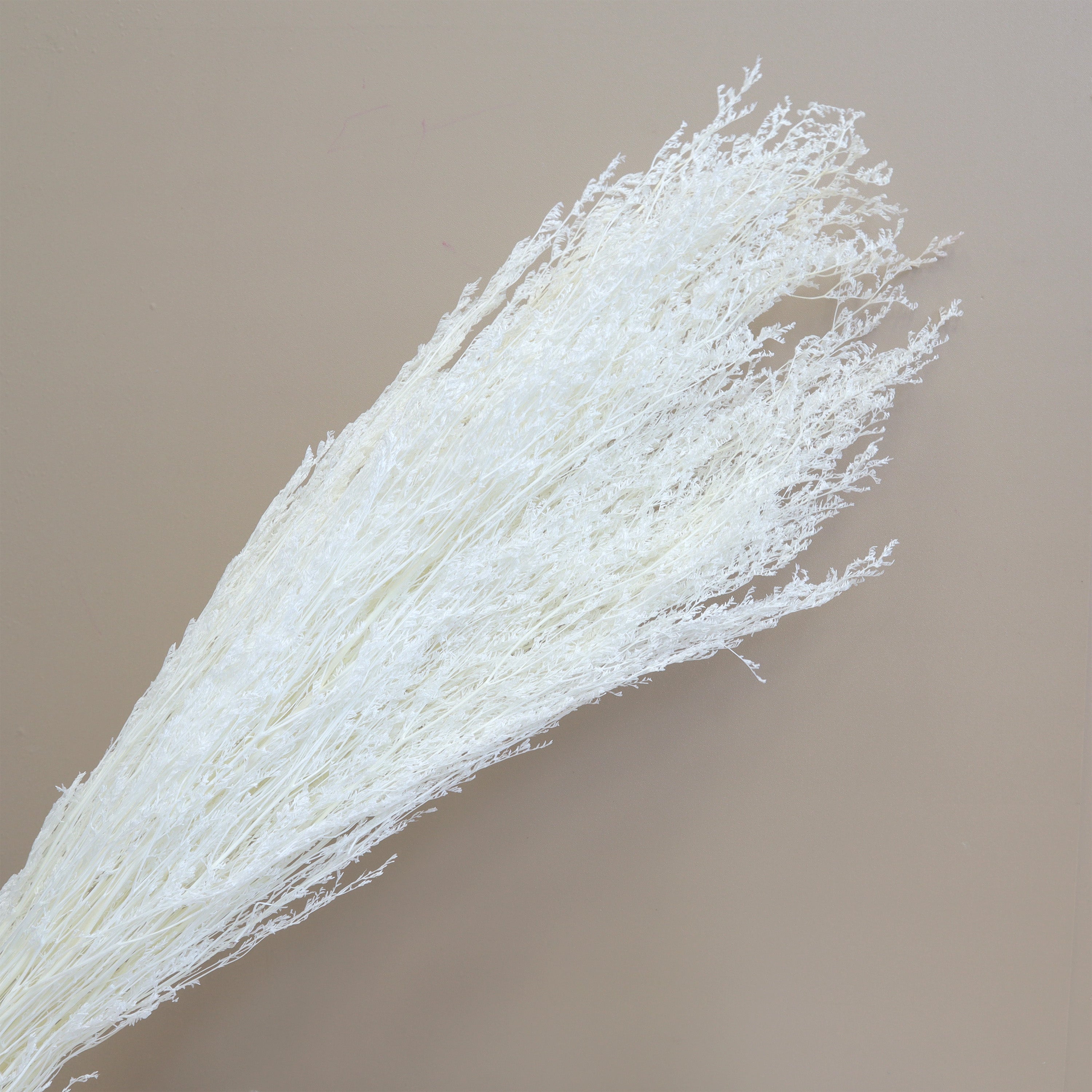 Misty Bleached White