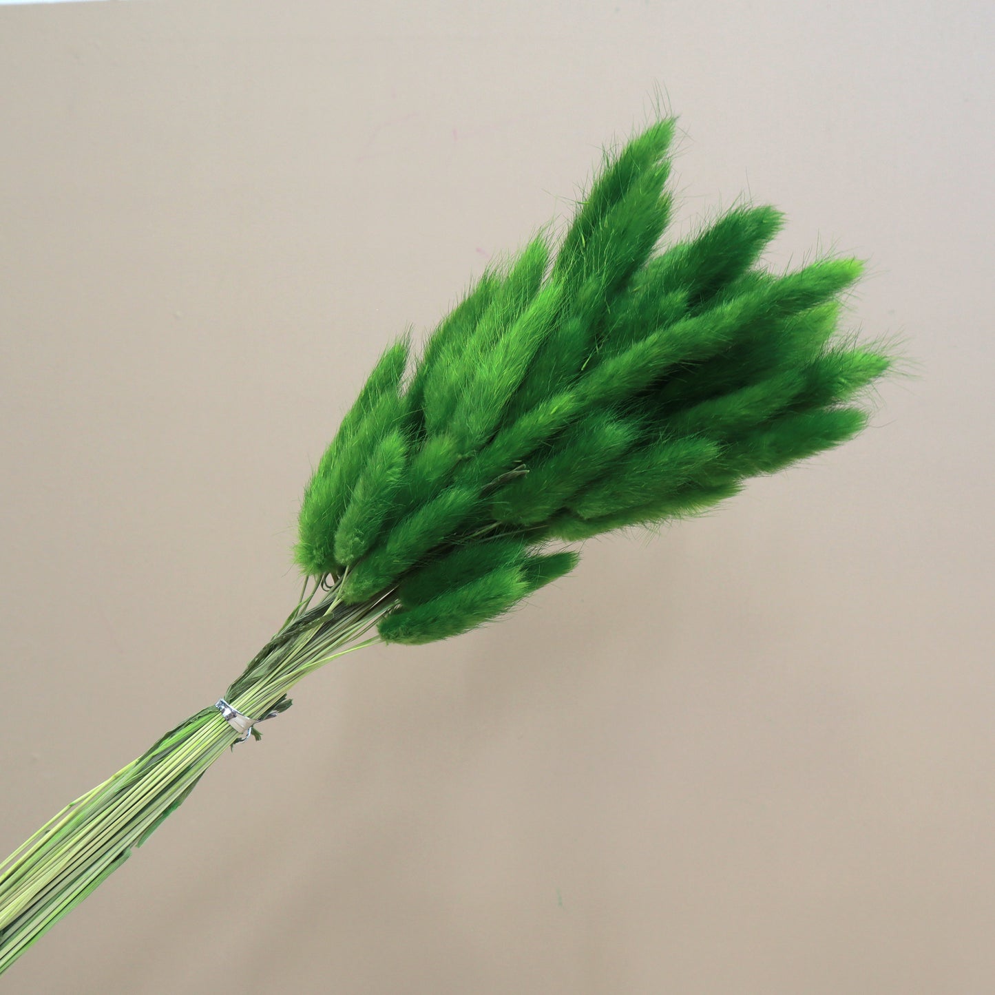 Bunny Tails Green