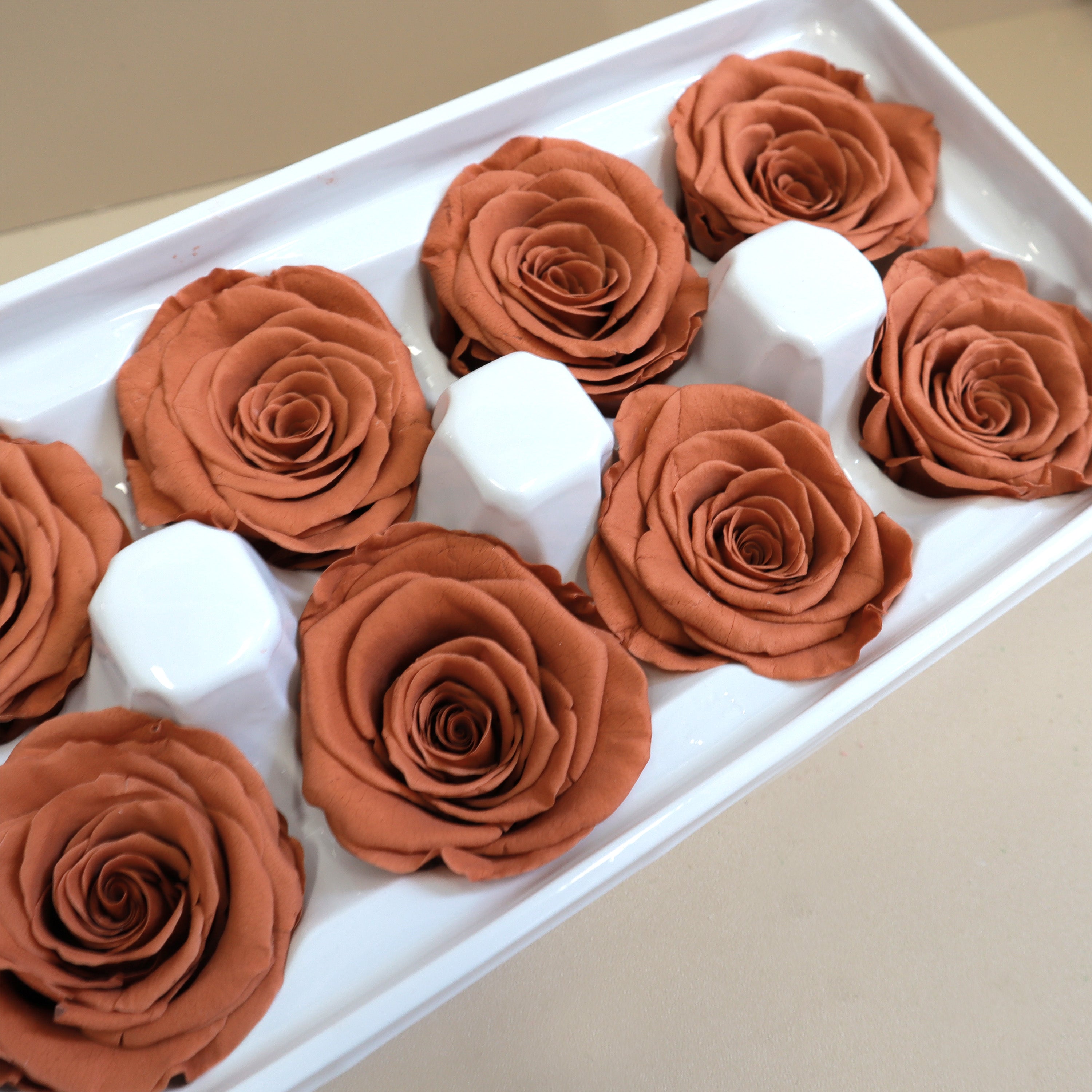 Rose Vintage Orange 8 heads