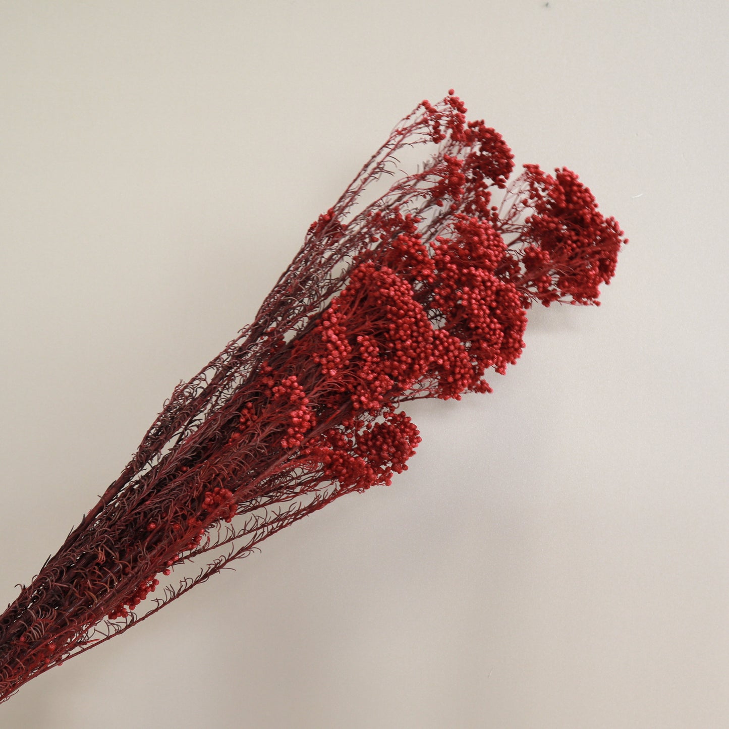 Rice Flower Red