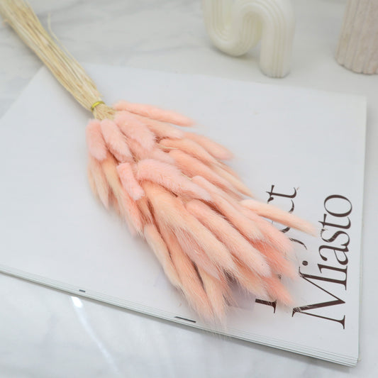 Bunny Tails Peach