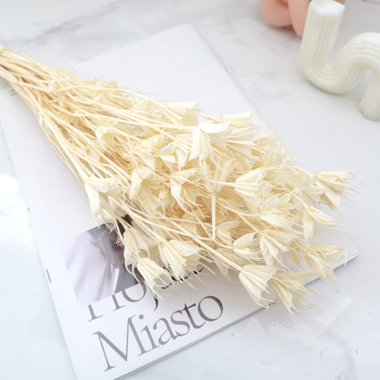 Nigella Creamy White