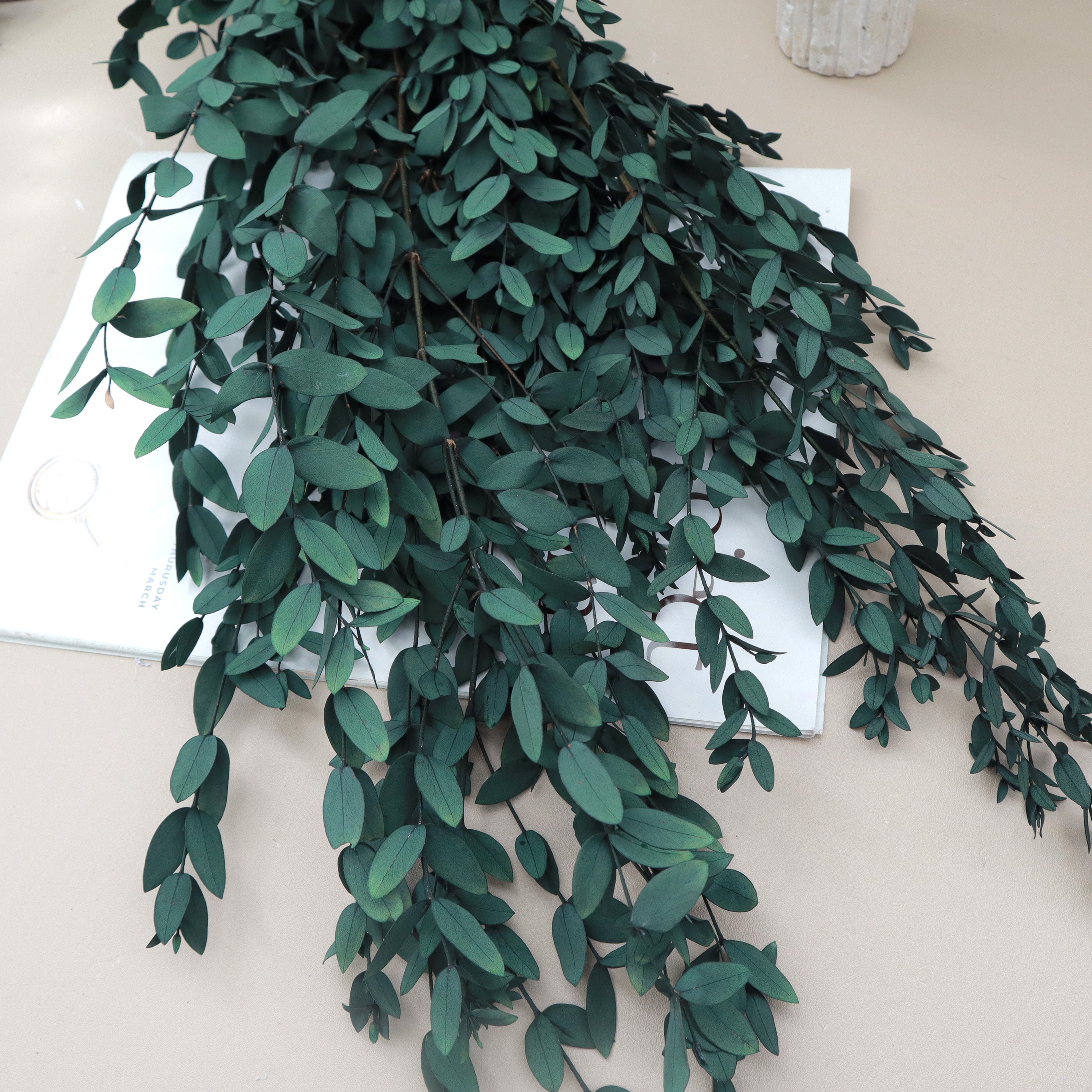 Small Leaf Gum Green