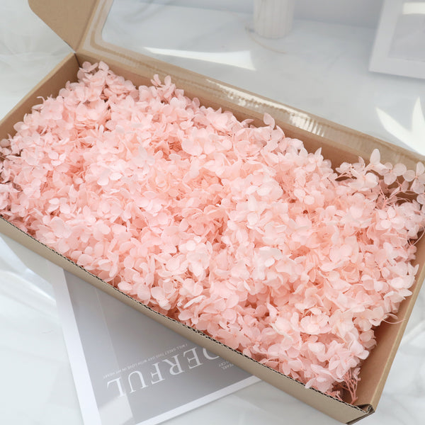 Annabelle Hydrangea 100g Box Light Pink – Floral Forest Wholesale