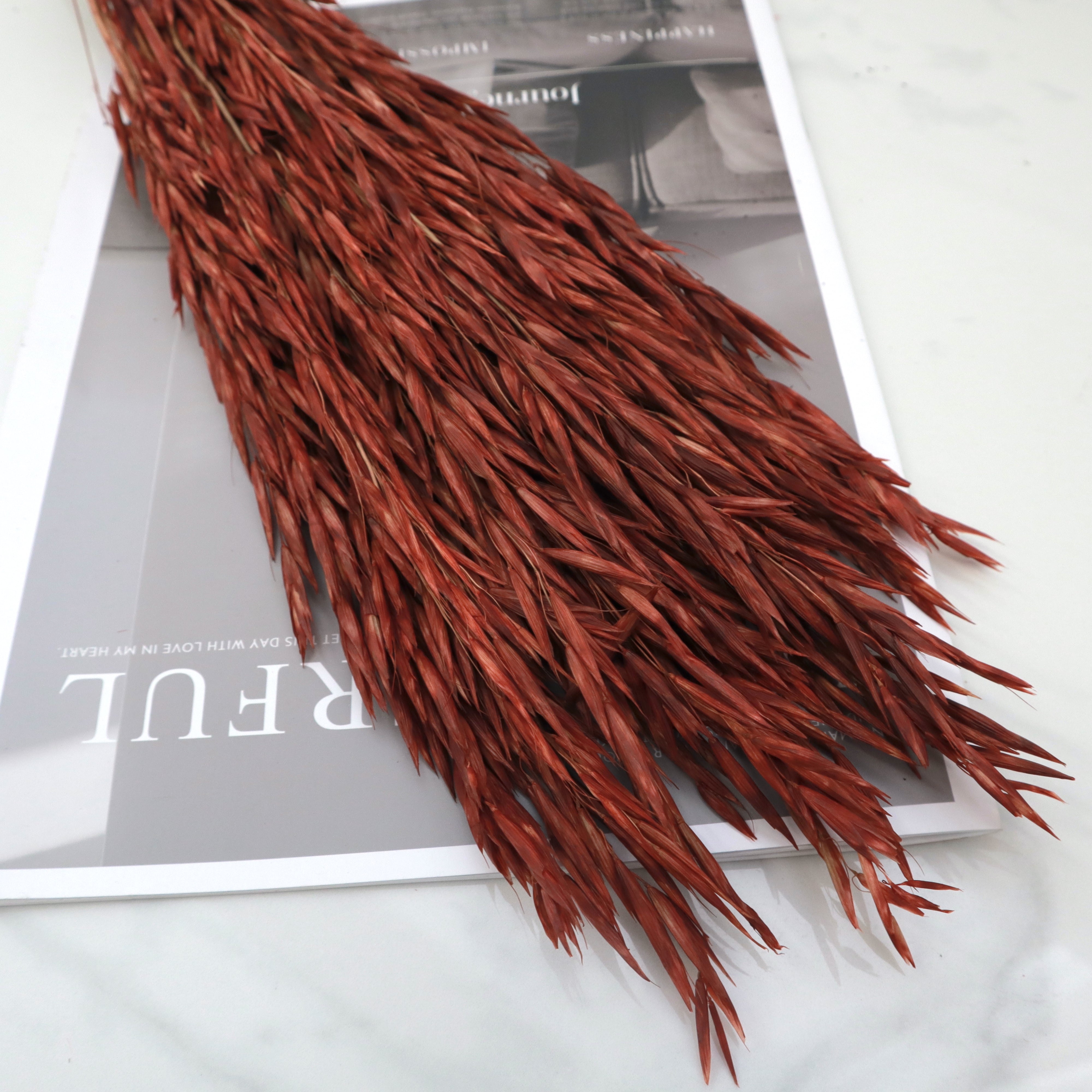 Dried Oat Wine Red