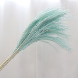 Soft Horsetail Turquoise