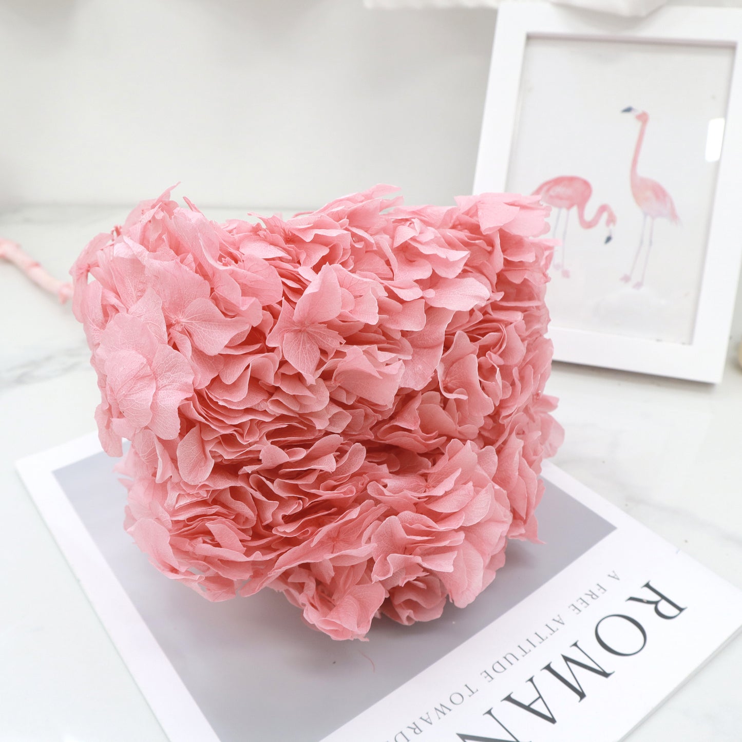 Hydrangea Bigleaf Brink Pink