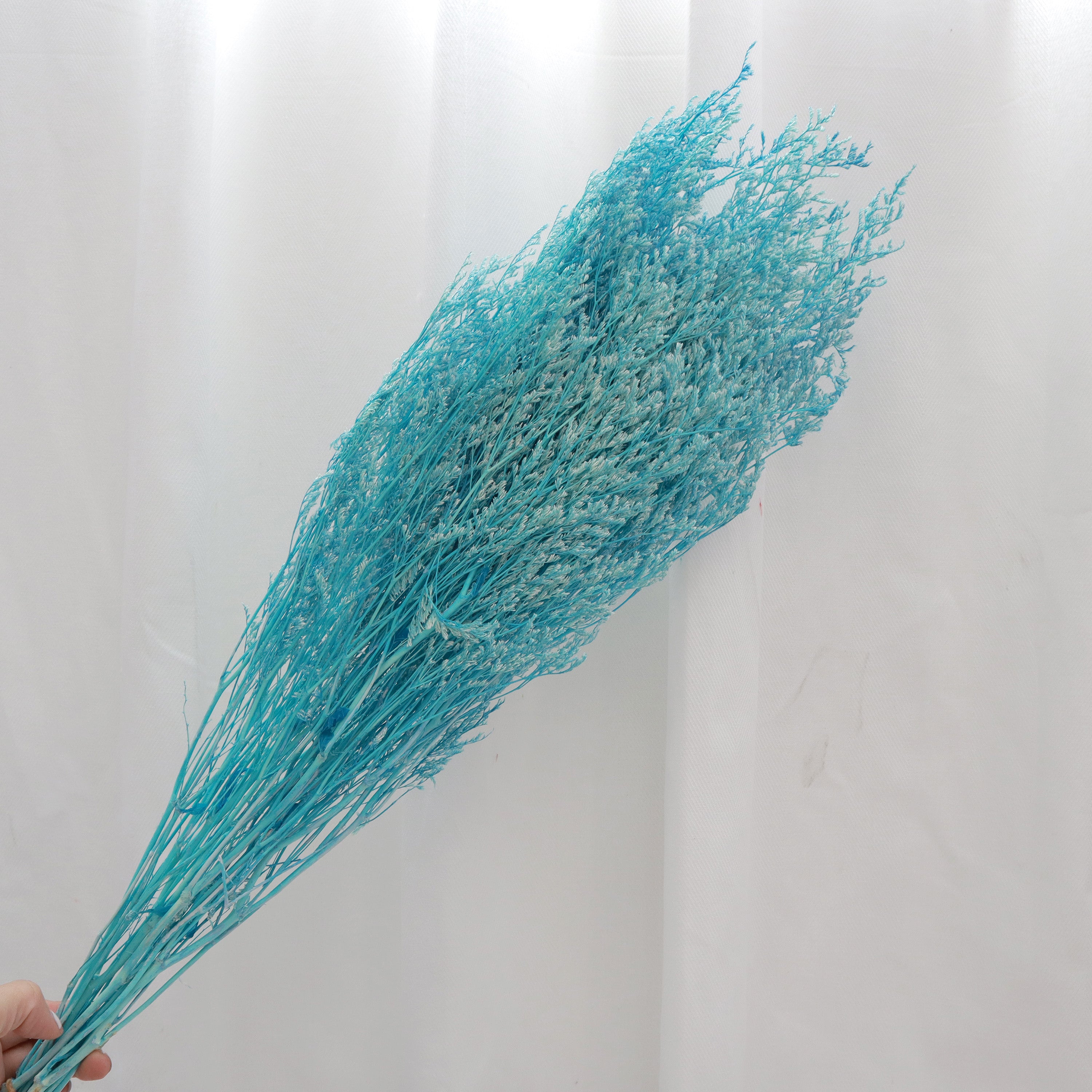 Misty Bleached Cyan