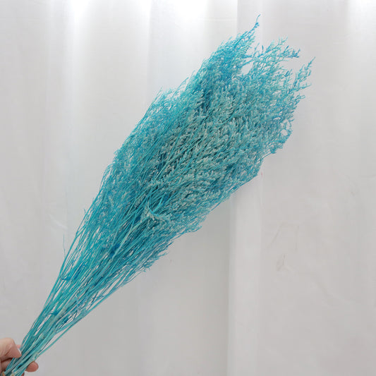 Misty Bleached Cyan
