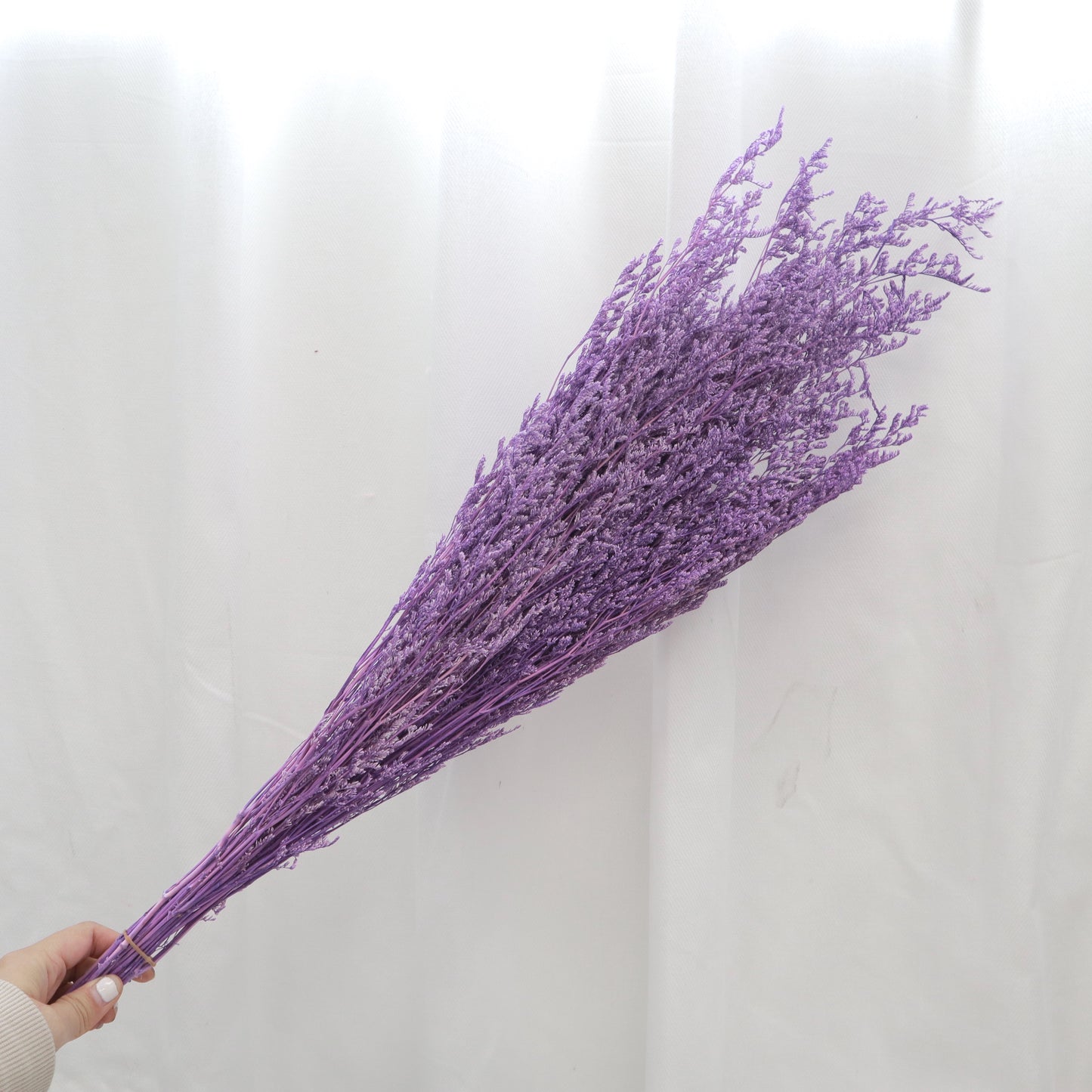 Misty Bleached Lilac