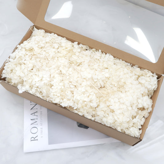 Annabelle Hydrangea 100g Box White