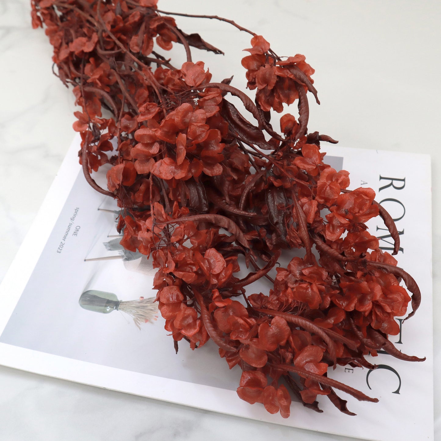 Dodonaea Wine Red Small
