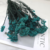 Rice Flower Teal Blue