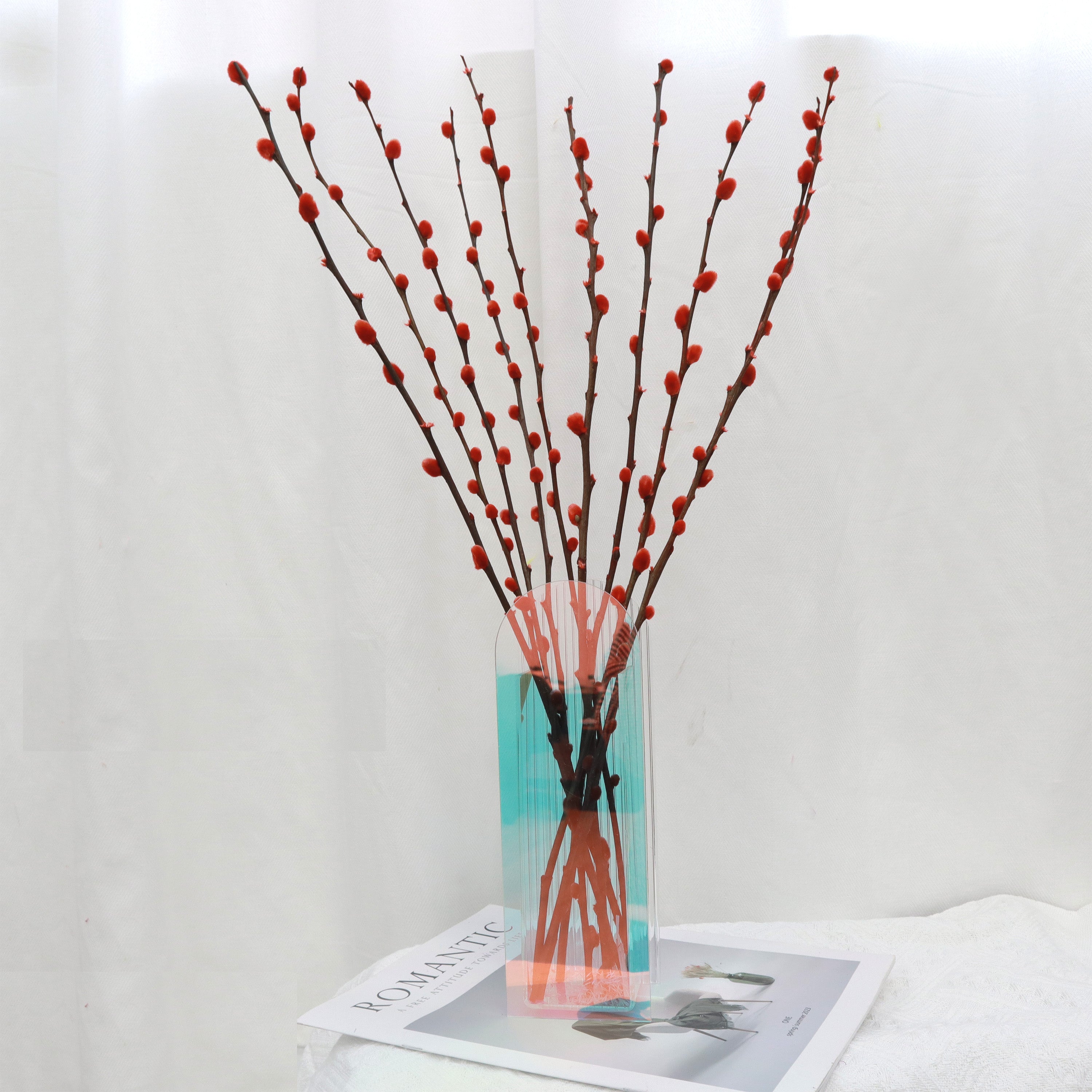 Pussy Willow (Blossom Sticks) Red