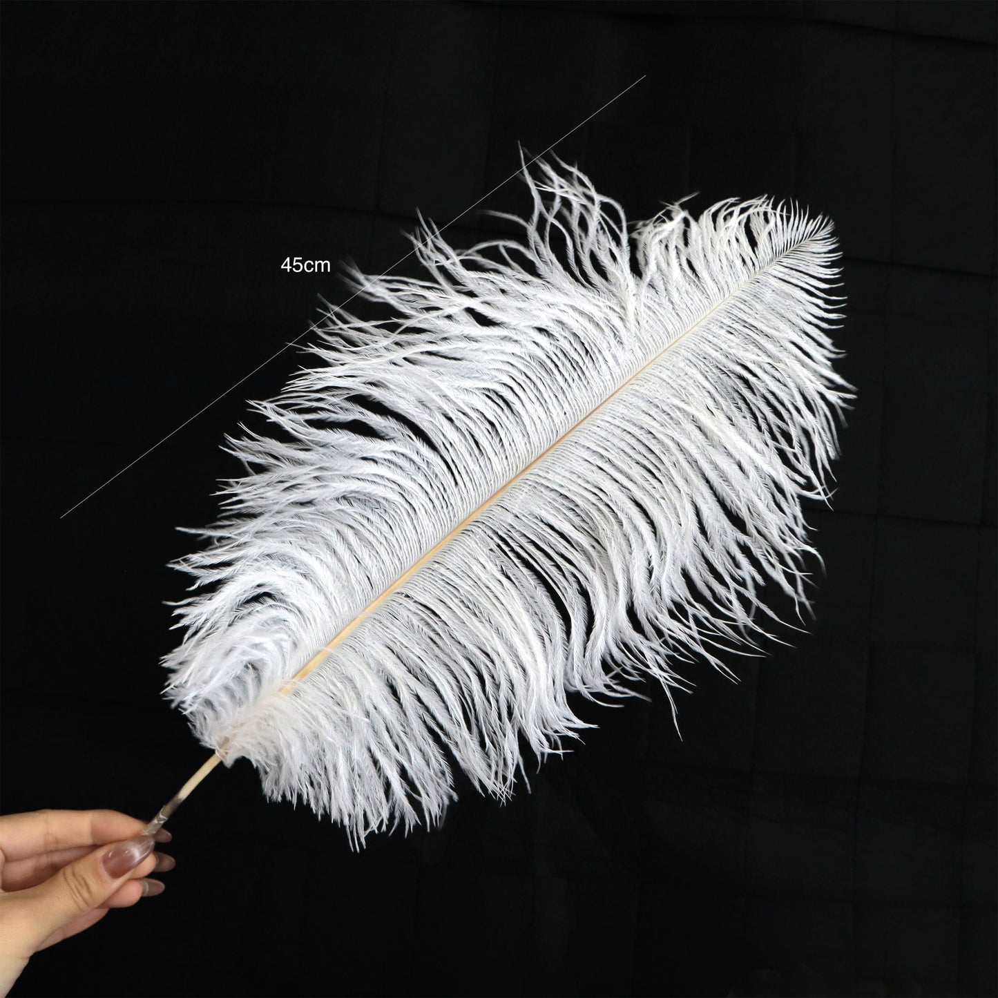 5 pcs Ostrich Feathers White