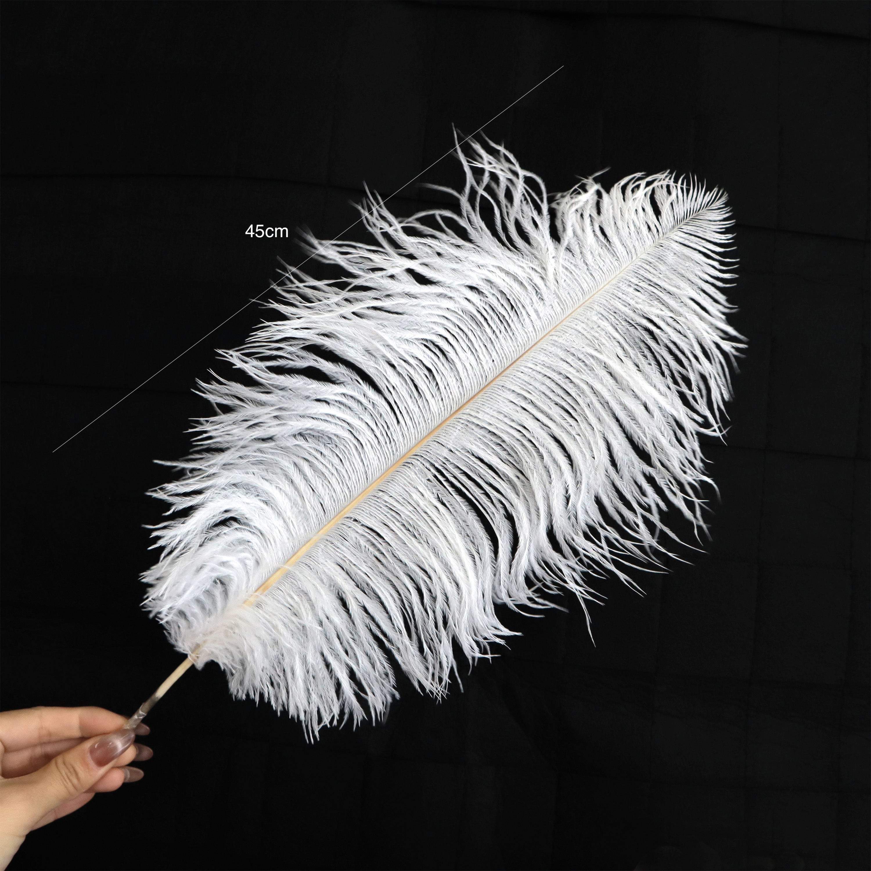 5 pcs Ostrich Feathers White
