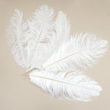5 pcs Ostrich Feathers White