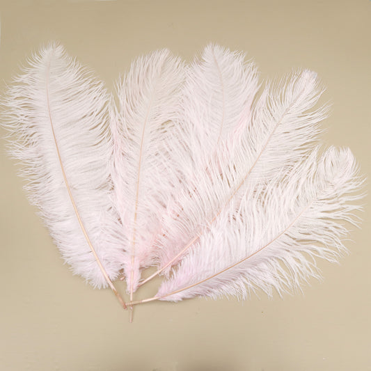 5 pcs Ostrich Feathers Baby Pink