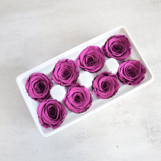 Rose Dark Violet 8 Heads