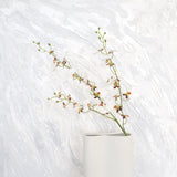 Artificial Real Touch Dancing Lady Orchid White