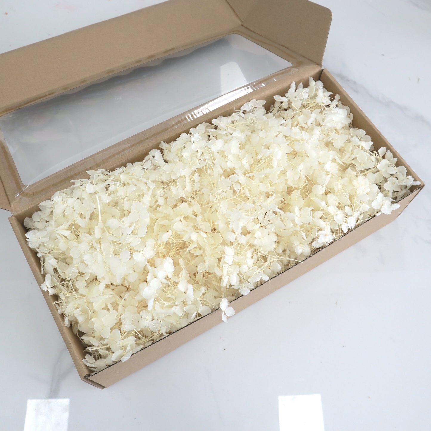 Annabelle Hydrangea 100g Box Creamy White