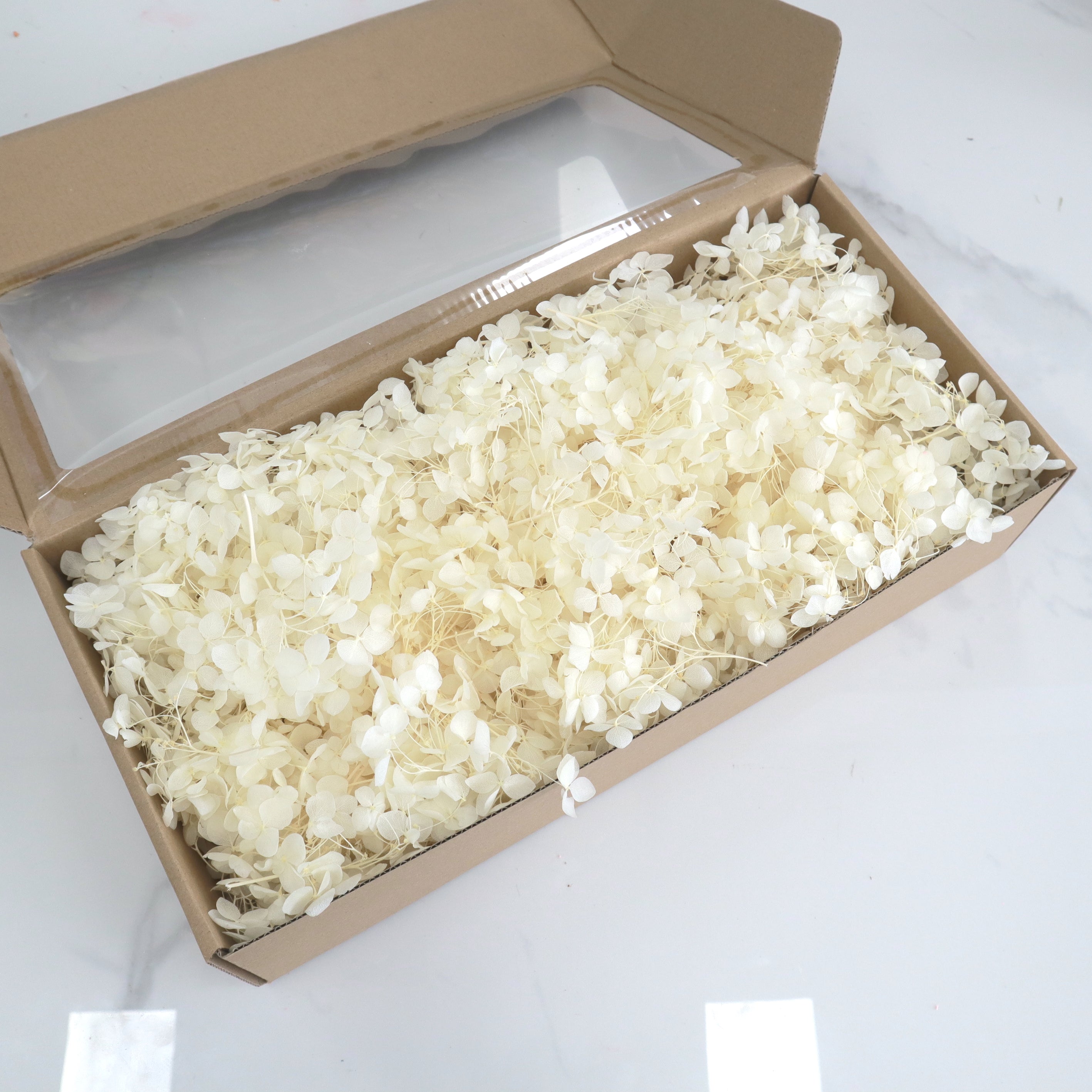 Annabelle Hydrangea 100g Bag Creamy White