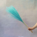 Horsetail Turquoise