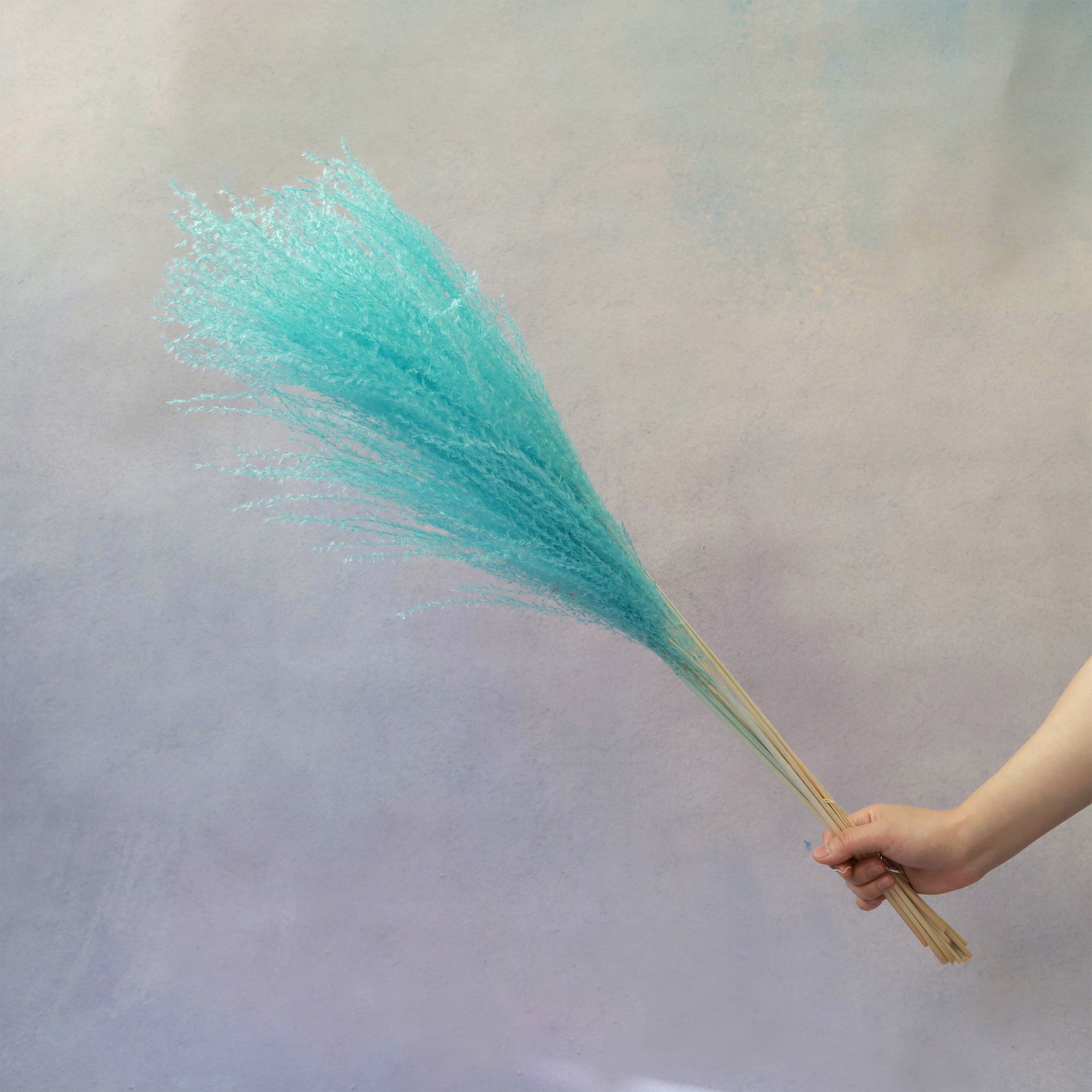 Horsetail Turquoise