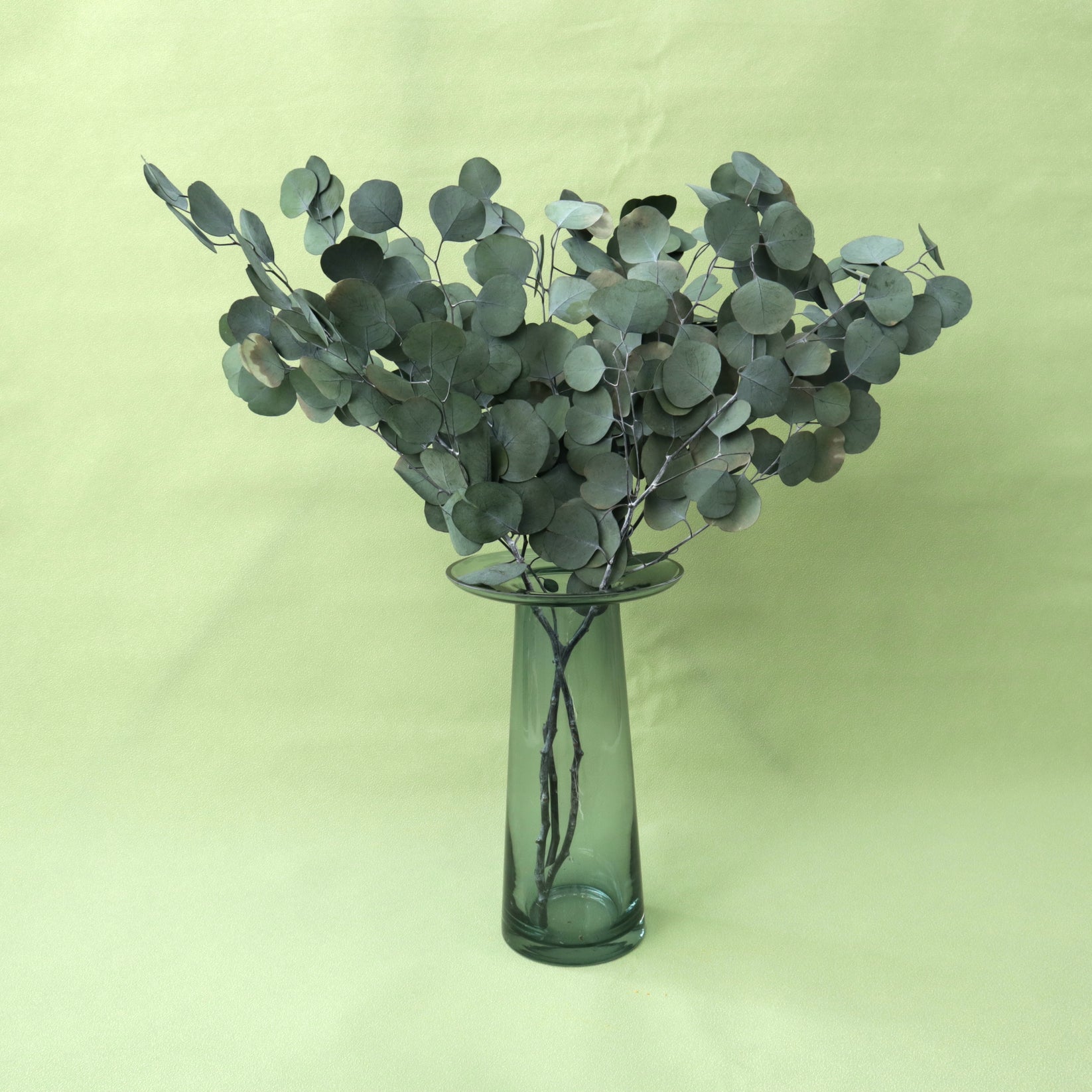 Poly Gum Green – Floral Forest Wholesale