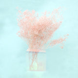 Snowy Baby's Breath Soft Pink