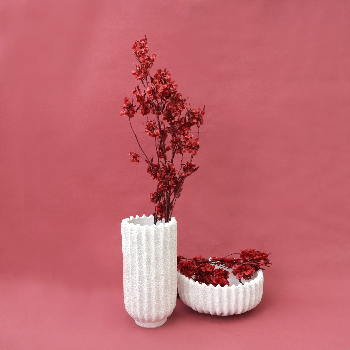 Dodonaea Wine Red Small
