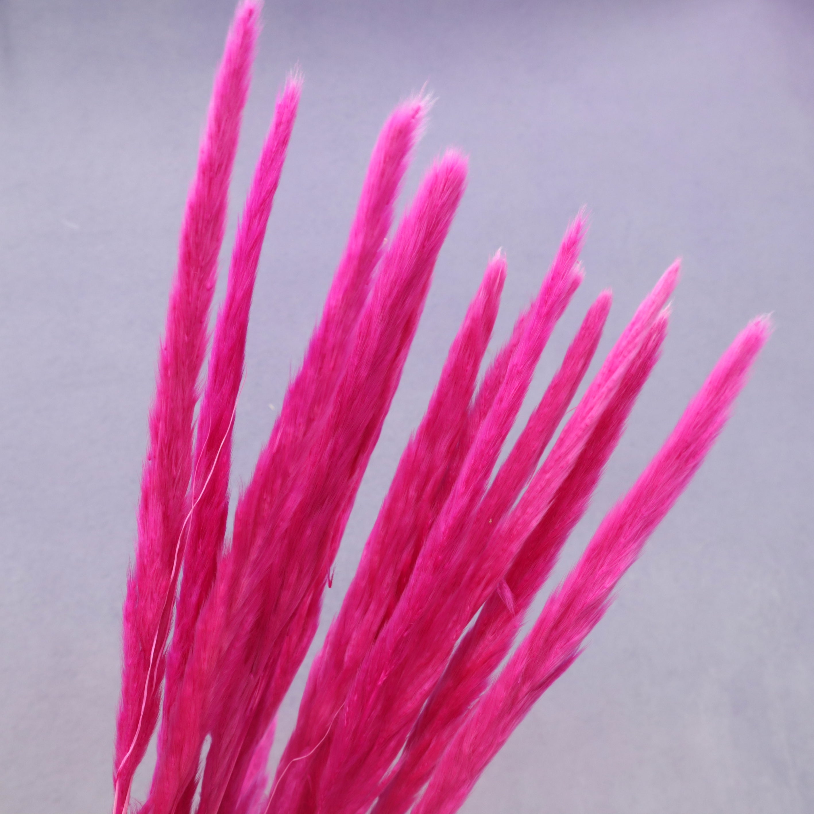Fluffy Stick Magenta