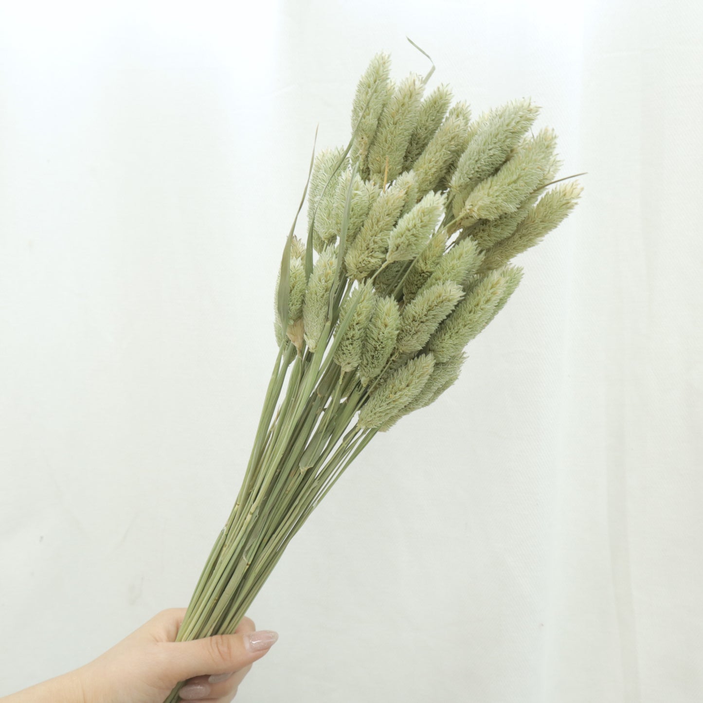Gem Grass Natural
