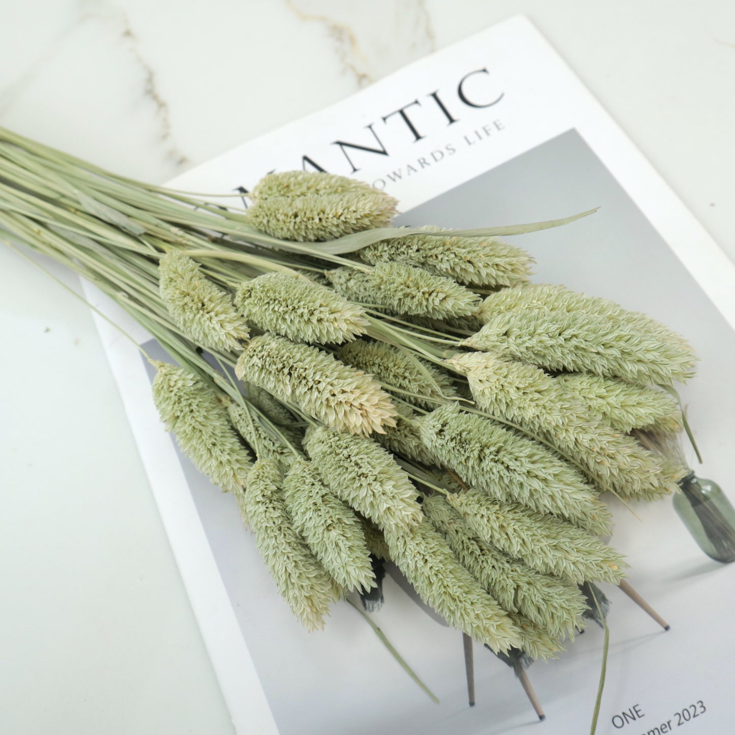 Gem Grass Natural