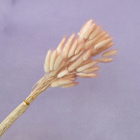 Bunny Tails Gradient Reddish Brown