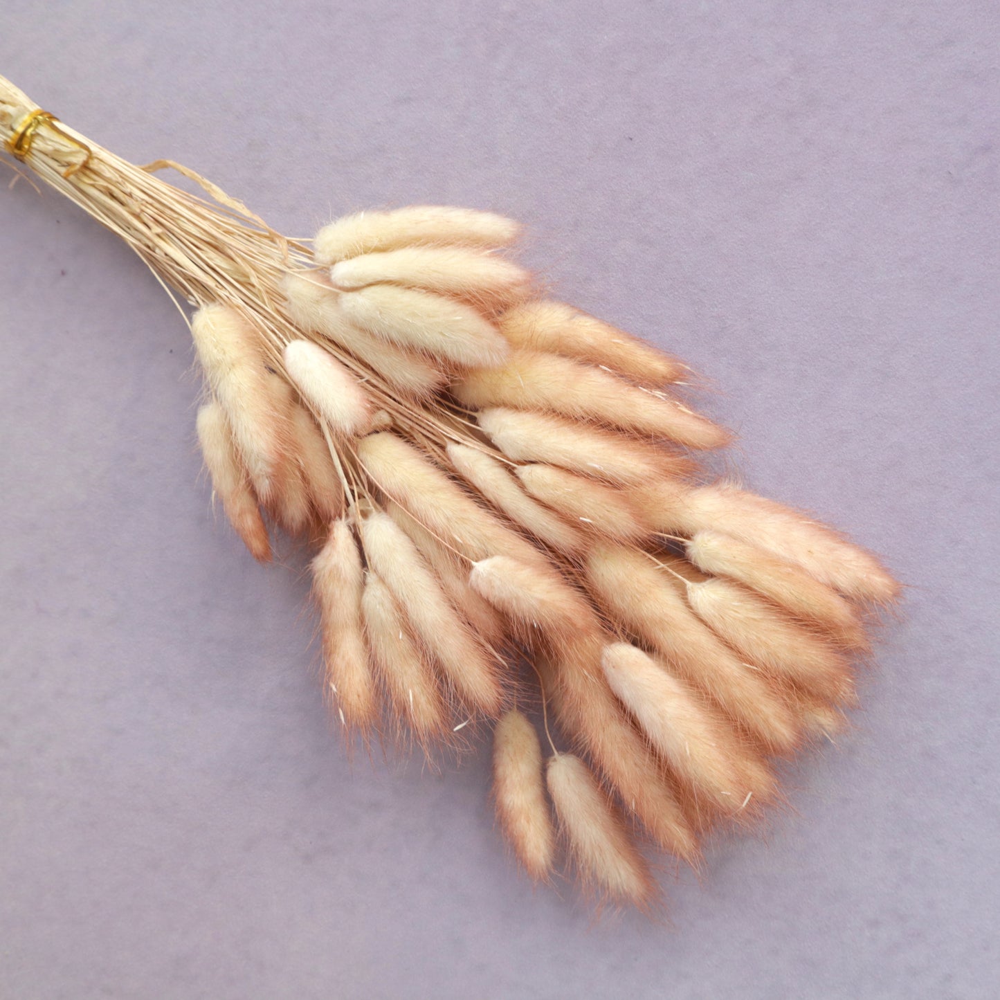Bunny Tails Gradient Reddish Brown