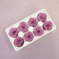 Rose Rouge Pink 8 heads