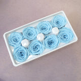 Rose Baby Blue 8 heads