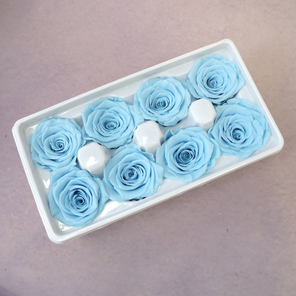 Rose Baby Blue 8 heads