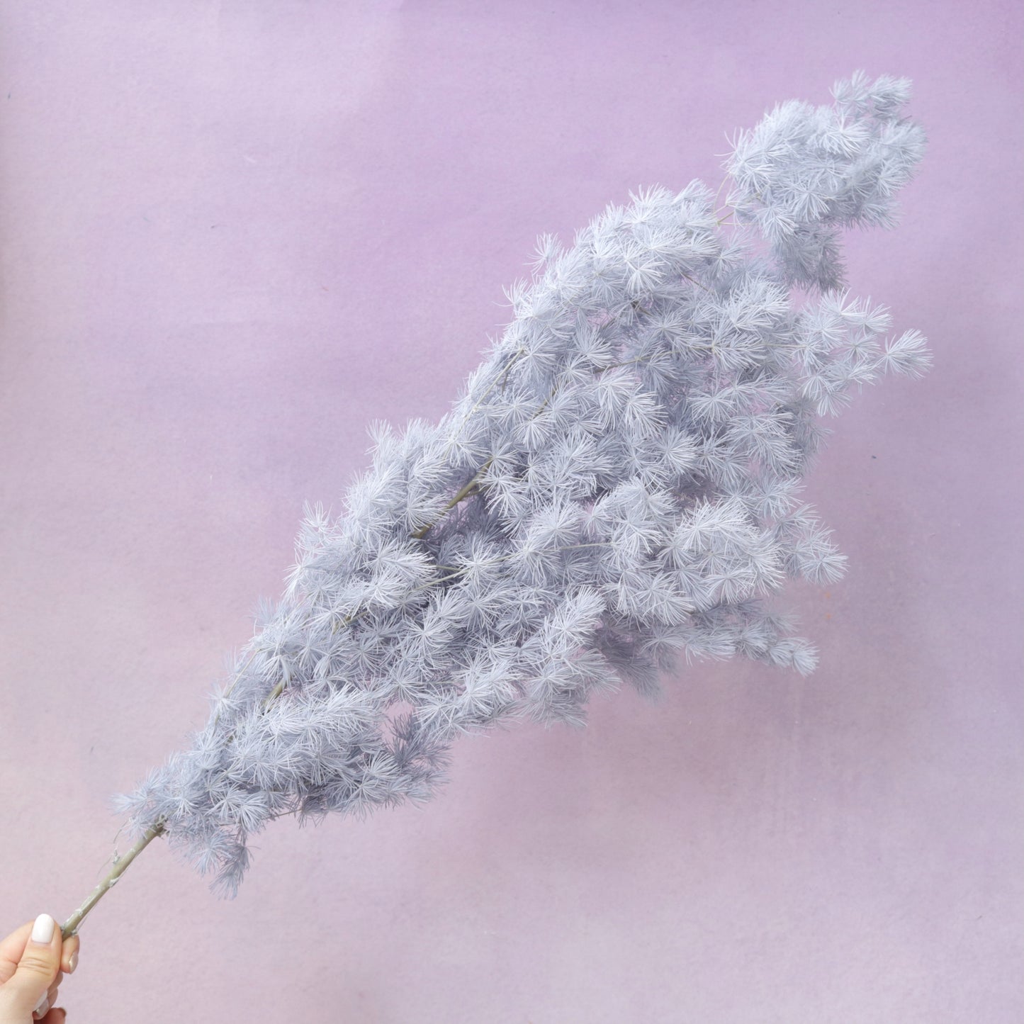 Ming Fern Dusty Blue