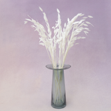 Sea Oats White