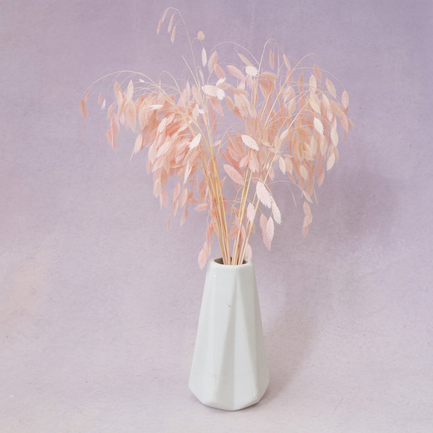 Sea Oats Pastel Pink