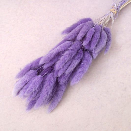 Bunny Tails Violet