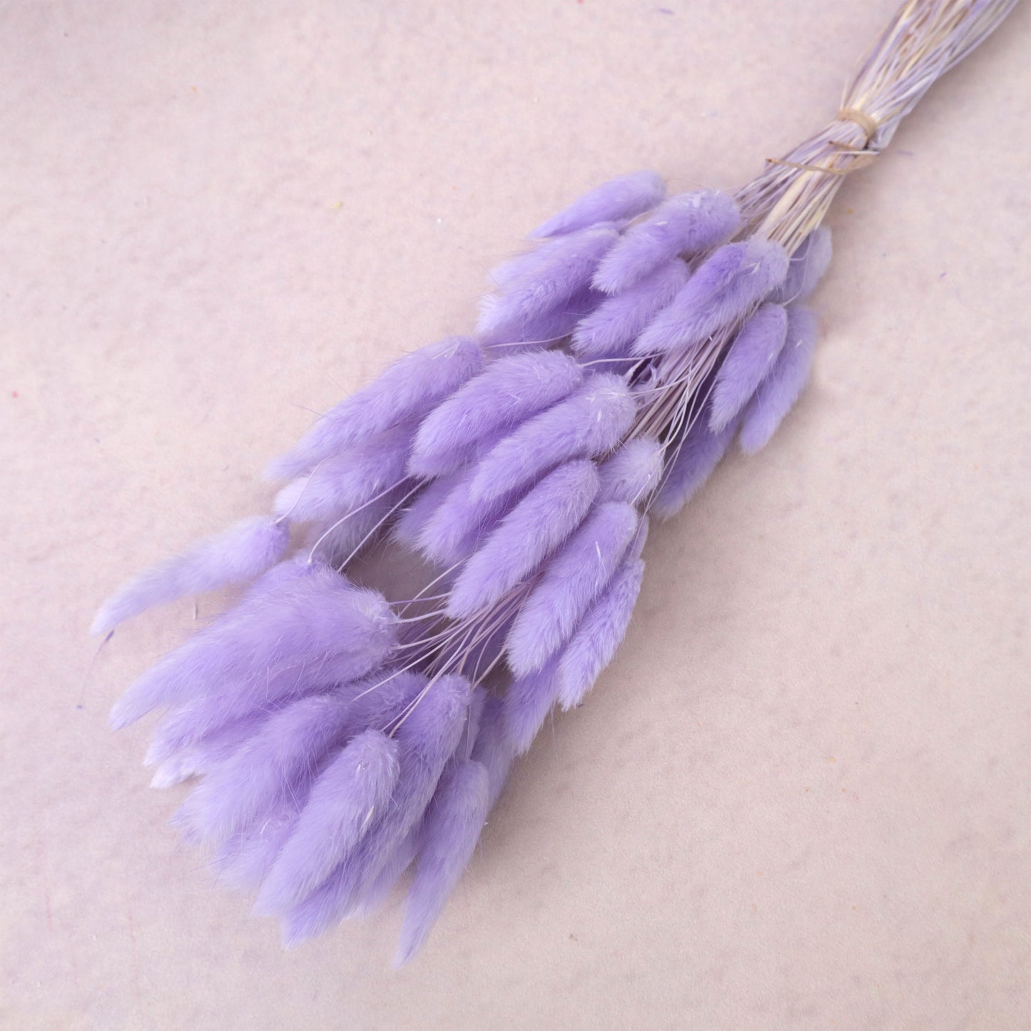 Bunny Tails Lilac