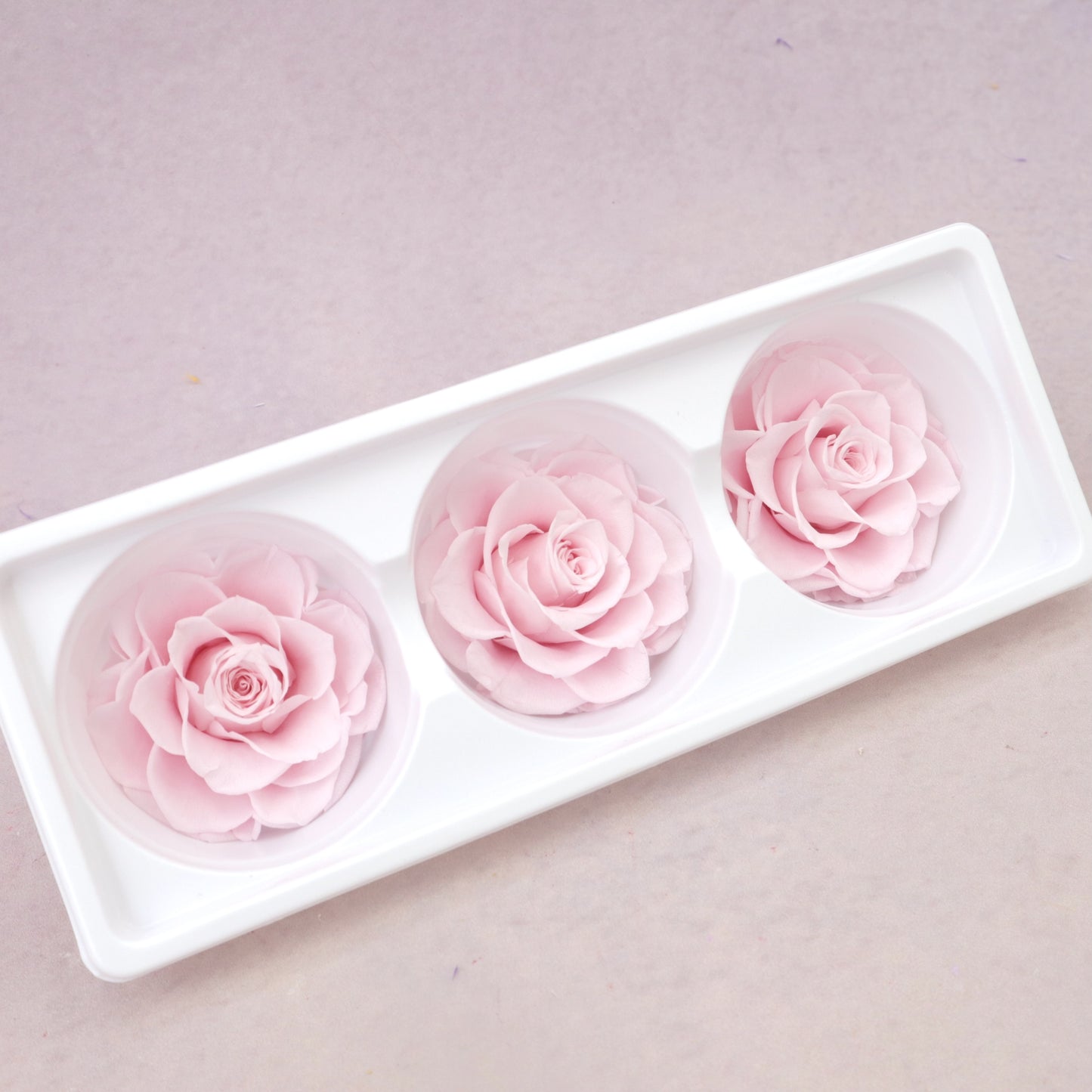 Rose Baby Pink 3 Heads