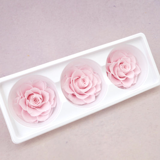 Rose Baby Pink 3 Heads